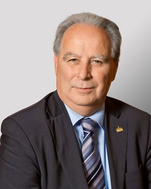 Mr. Gilles Déziel
